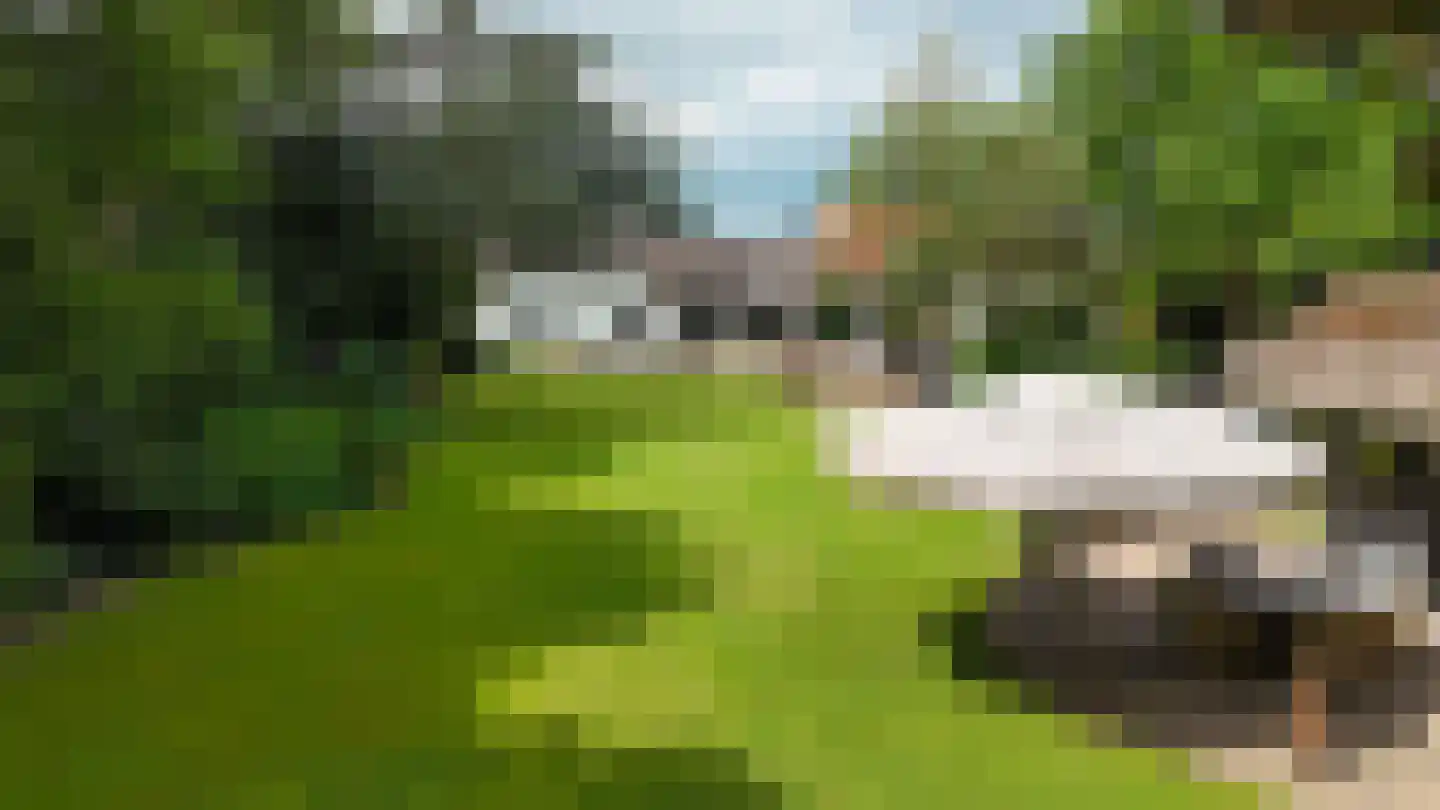 Heilige Huisjes 15 Zevenaar thumbnail 20