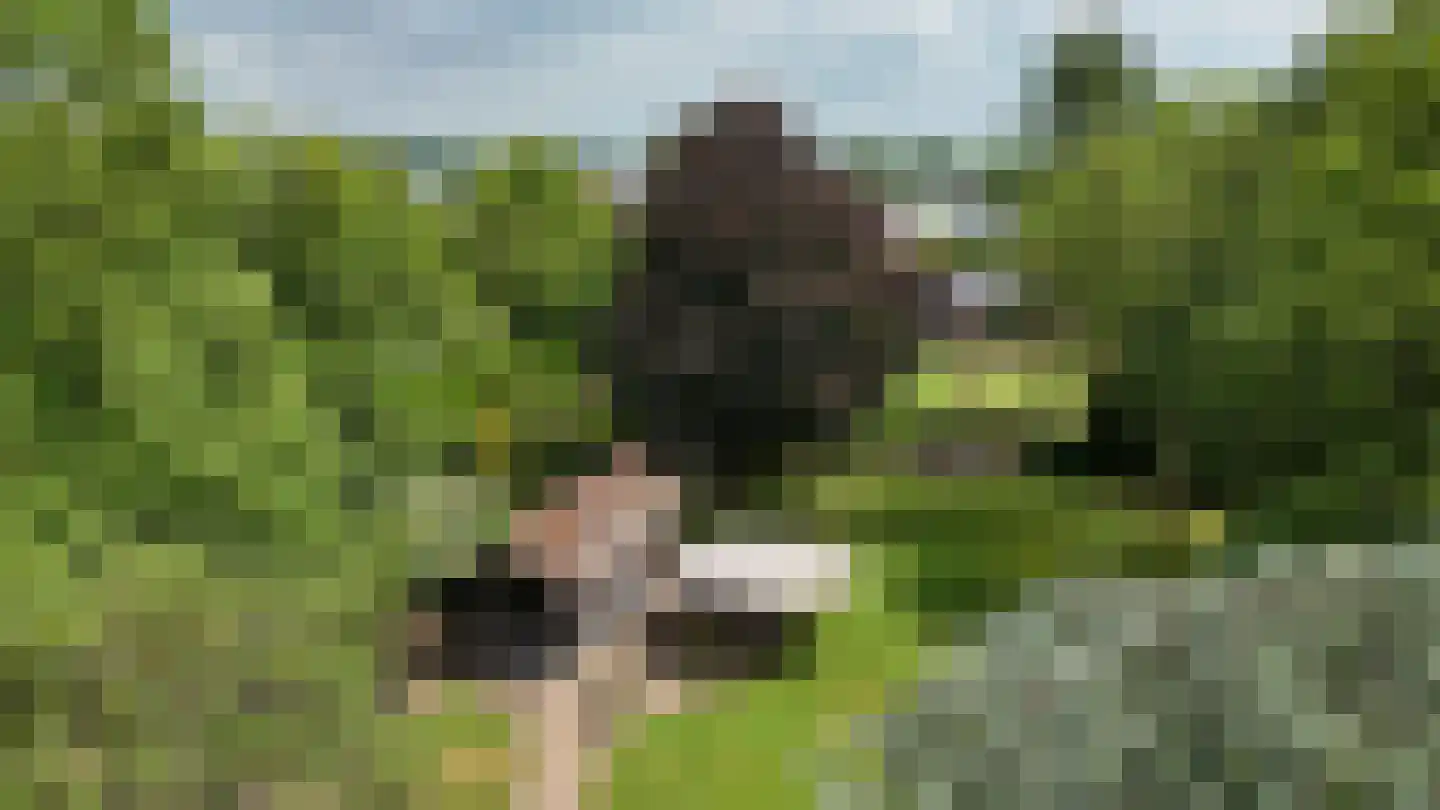 Heilige Huisjes 15 Zevenaar thumbnail 21