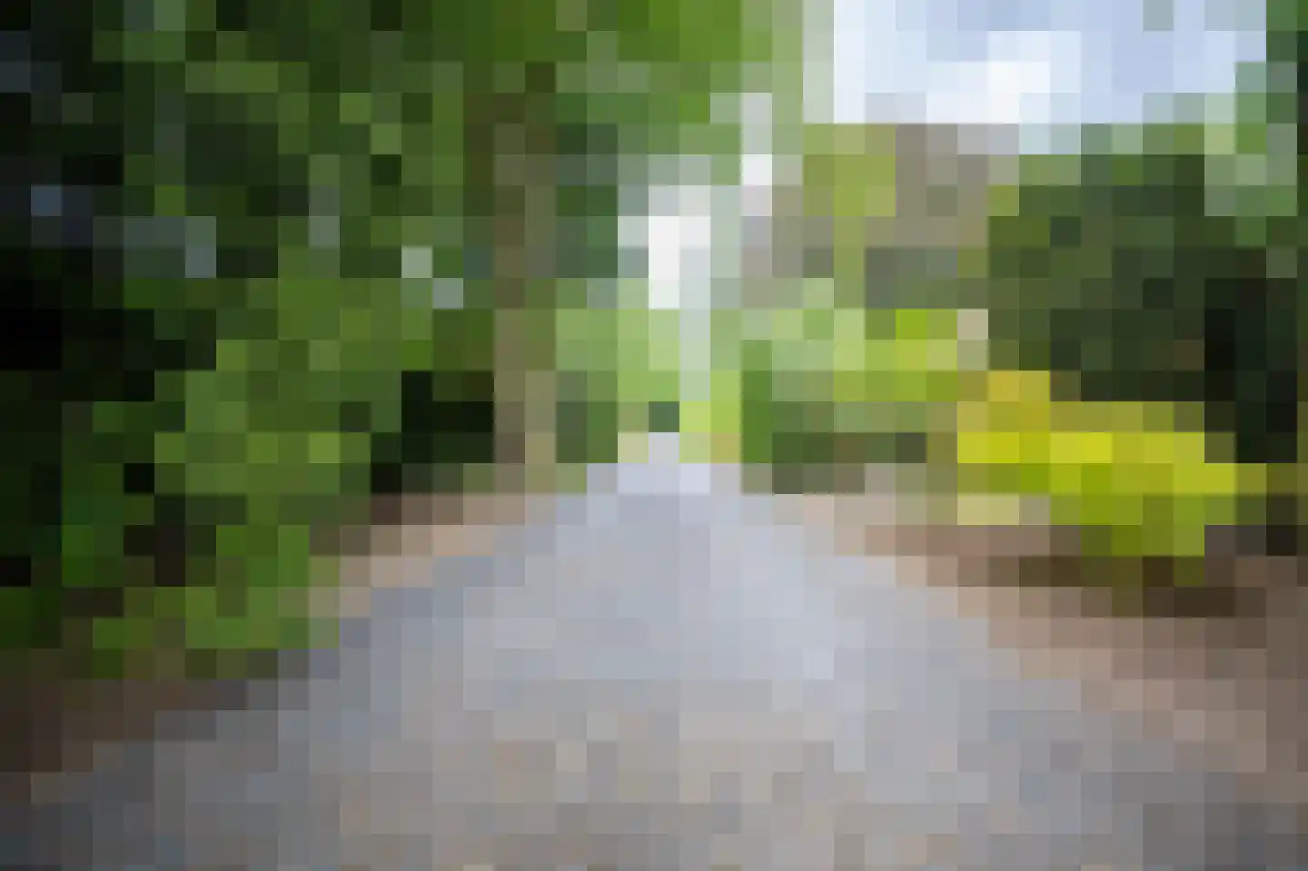 Heilige Huisjes 15 Zevenaar thumbnail 22