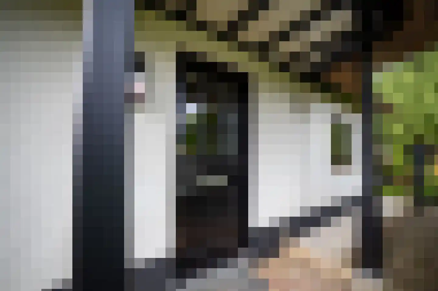 Heilige Huisjes 15 Zevenaar thumbnail 24