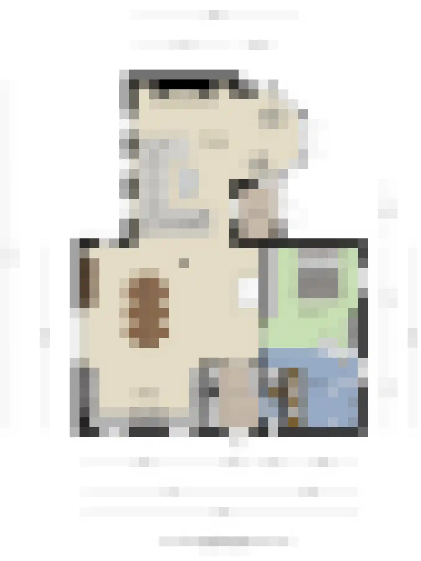 Heilige Huisjes 15 Zevenaar thumbnail 25