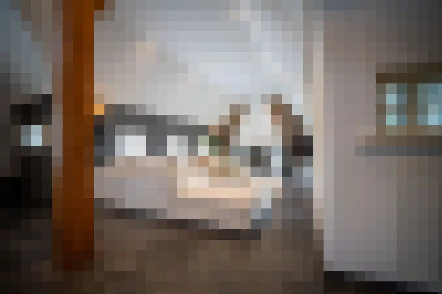 Heilige Huisjes 15 Zevenaar thumbnail 26