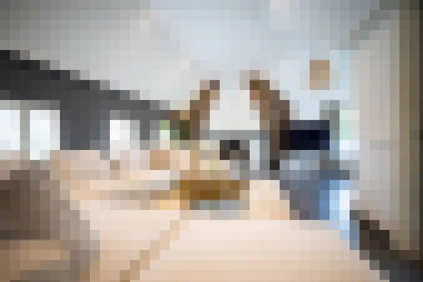 Heilige Huisjes 15 Zevenaar thumbnail 27