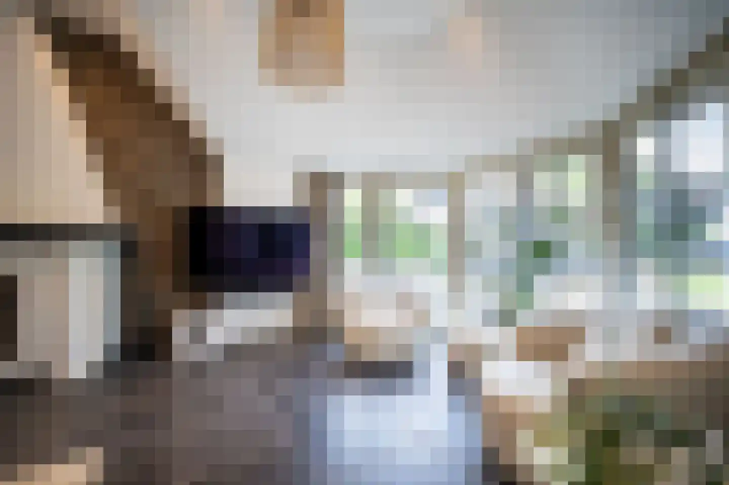 Heilige Huisjes 15 Zevenaar thumbnail 28