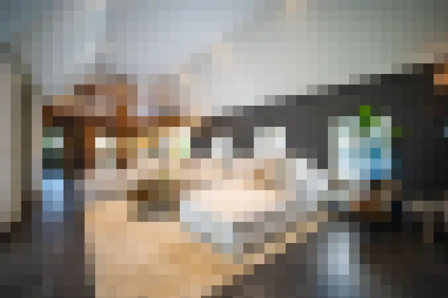 Heilige Huisjes 15 Zevenaar thumbnail 29