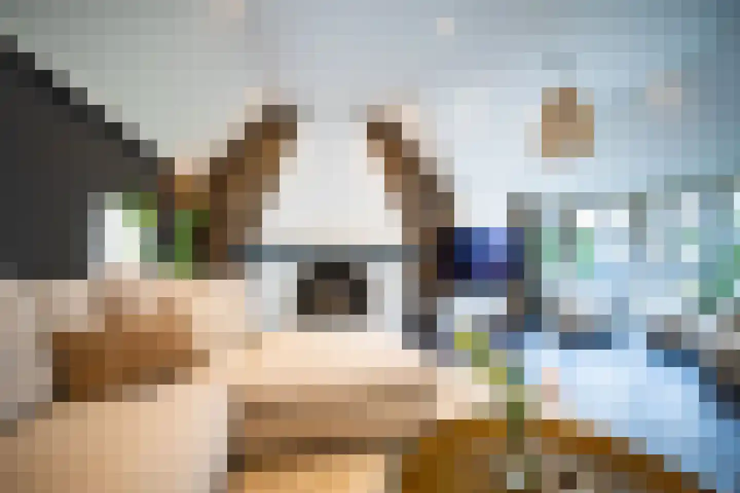 Heilige Huisjes 15 Zevenaar thumbnail 31