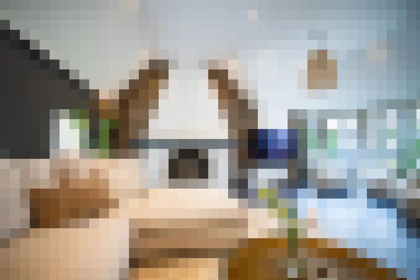 Heilige Huisjes 15 Zevenaar thumbnail 31