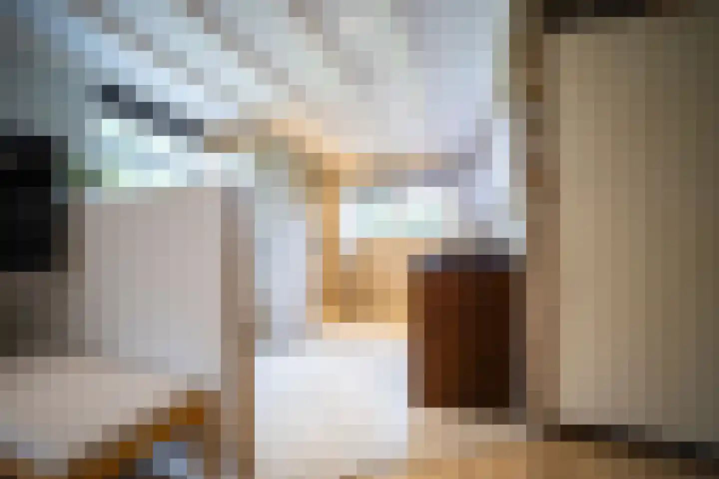 Heilige Huisjes 15 Zevenaar thumbnail 39