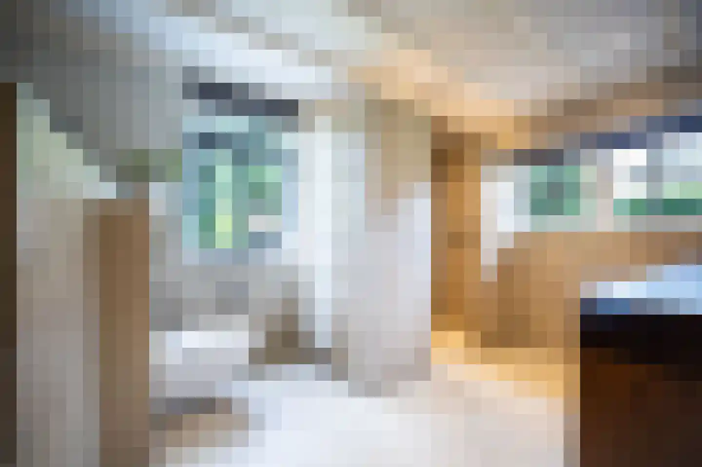 Heilige Huisjes 15 Zevenaar thumbnail 40