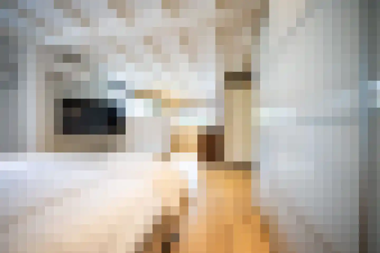 Heilige Huisjes 15 Zevenaar thumbnail 44