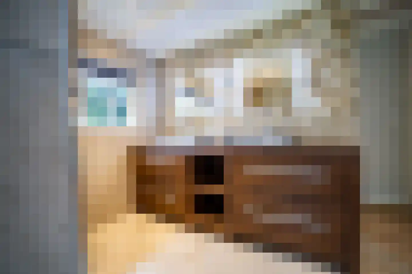 Heilige Huisjes 15 Zevenaar thumbnail 45