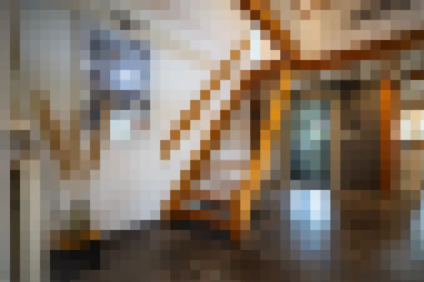 Heilige Huisjes 15 Zevenaar thumbnail 46