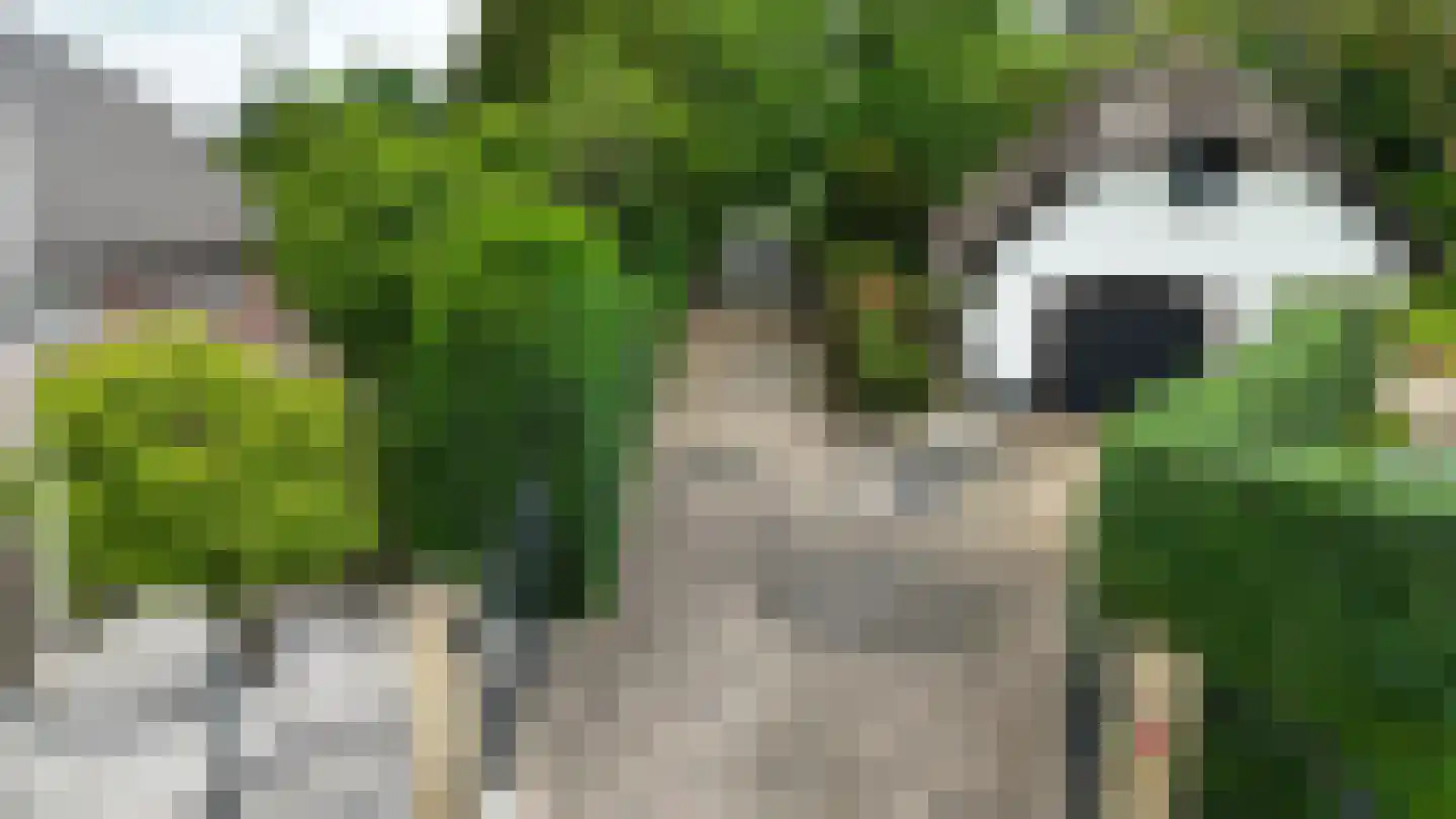 Heilige Huisjes 15 Zevenaar thumbnail 5