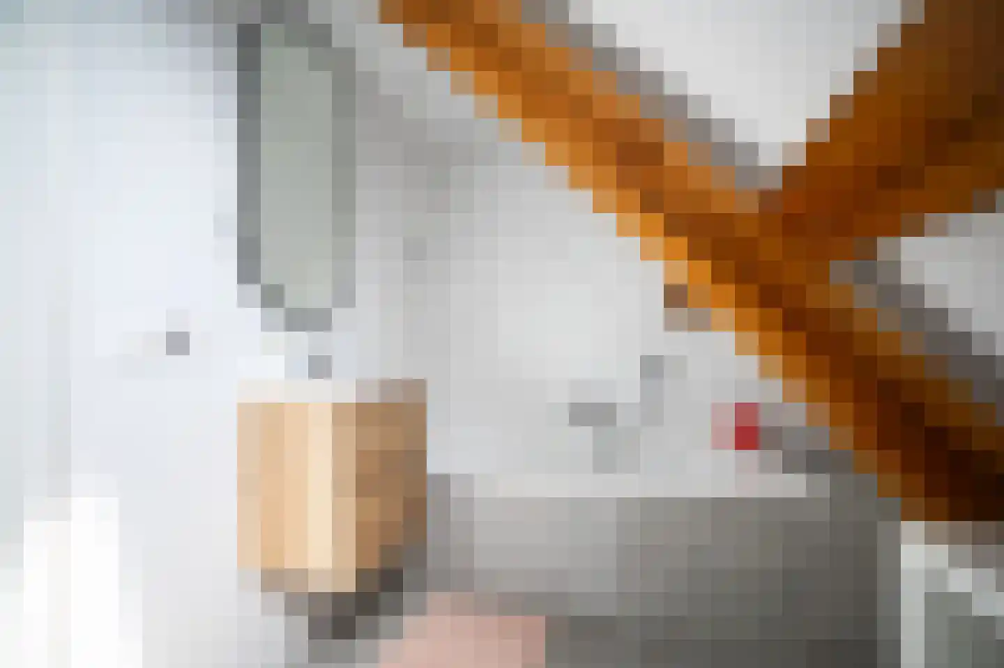 Heilige Huisjes 15 Zevenaar thumbnail 52