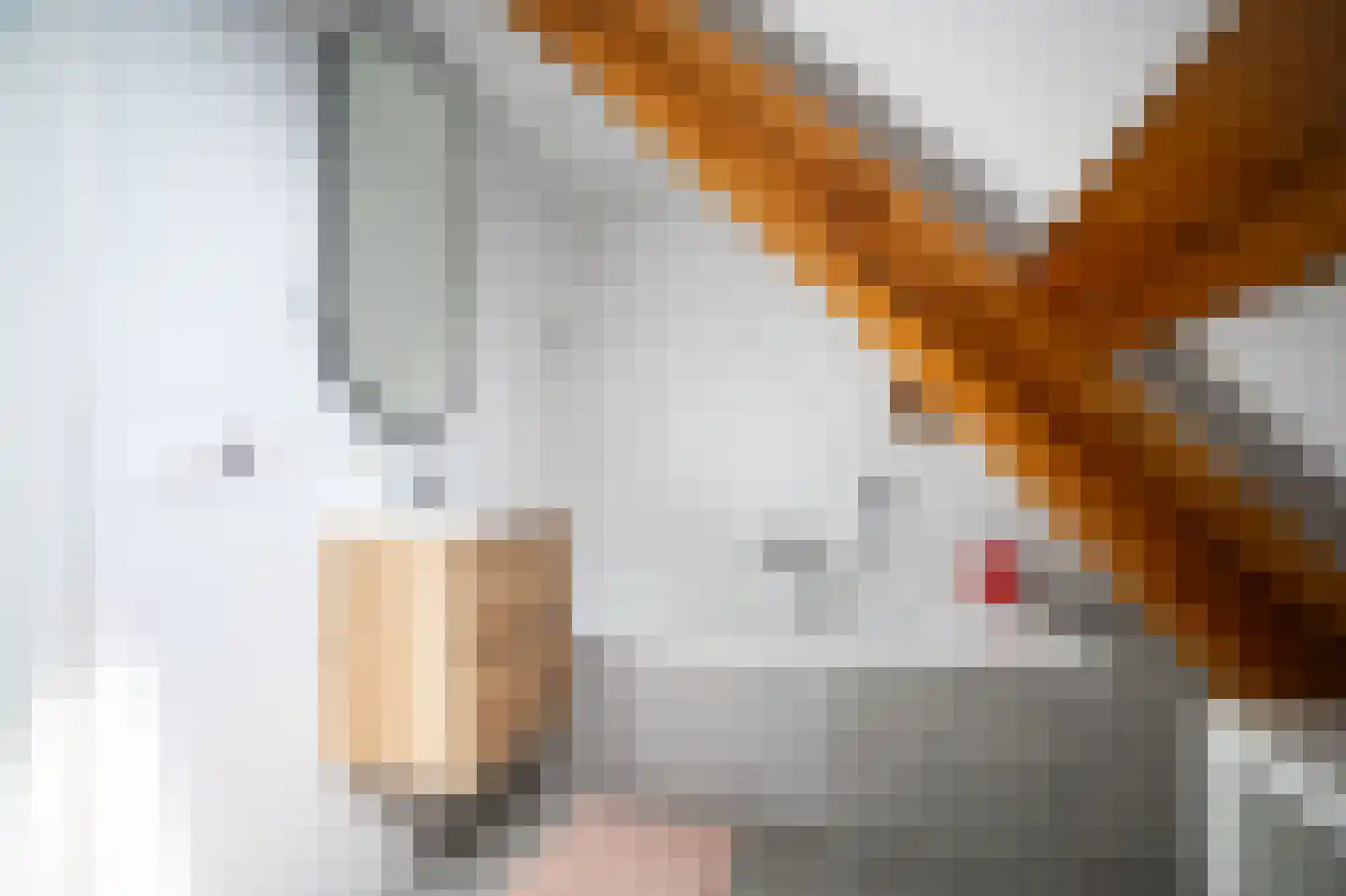 Heilige Huisjes 15 Zevenaar thumbnail 52