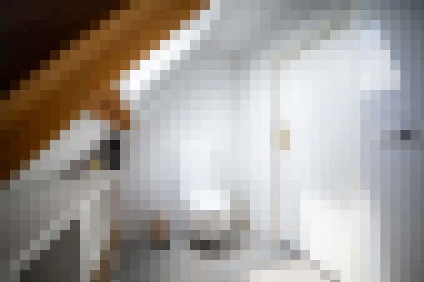 Heilige Huisjes 15 Zevenaar thumbnail 53