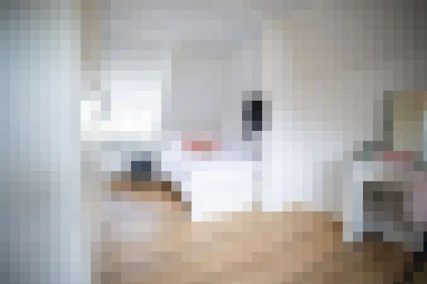 Heilige Huisjes 15 Zevenaar thumbnail 55