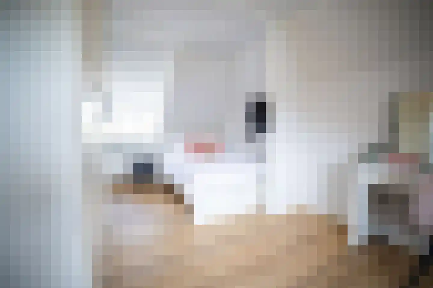 Heilige Huisjes 15 Zevenaar thumbnail 55
