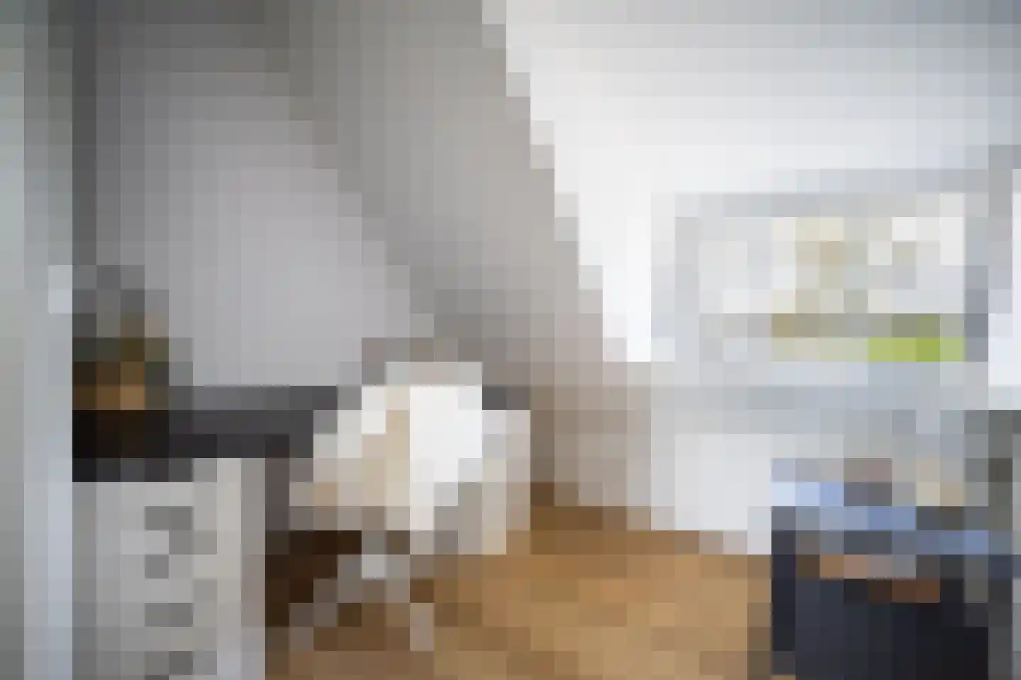 Heilige Huisjes 15 Zevenaar thumbnail 56