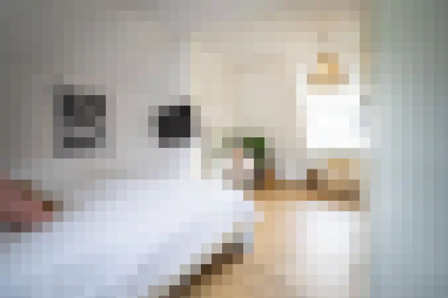 Heilige Huisjes 15 Zevenaar thumbnail 57