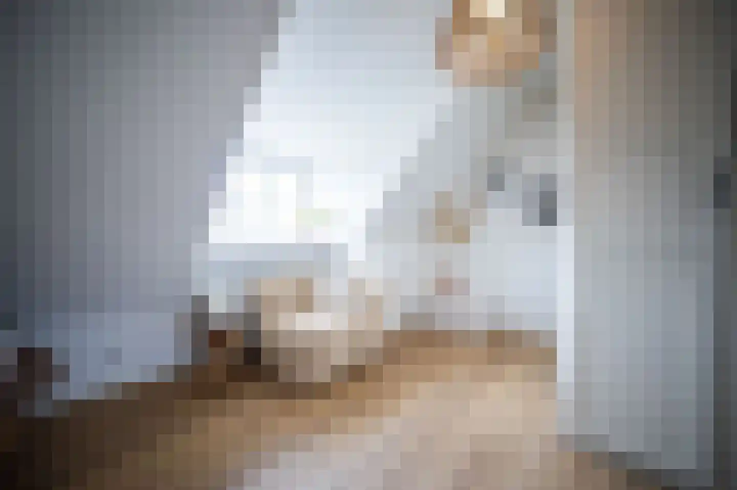 Heilige Huisjes 15 Zevenaar thumbnail 58