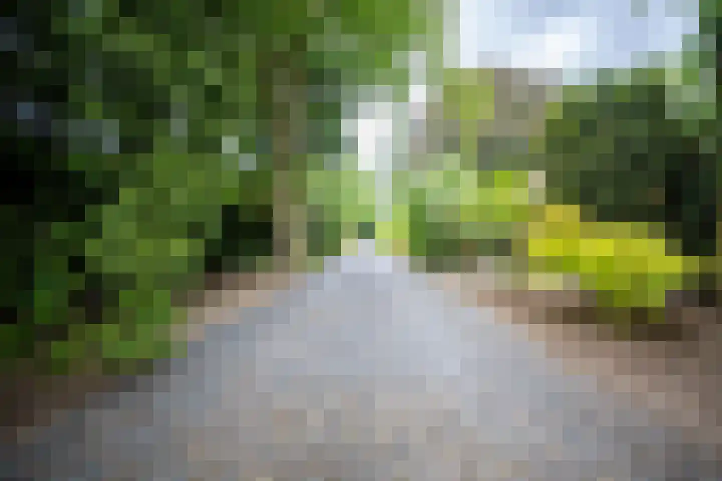 Heilige Huisjes 15 Zevenaar thumbnail 6
