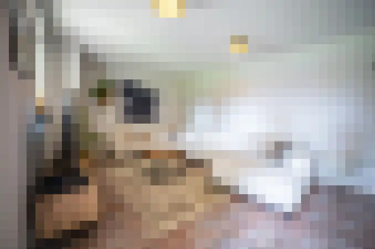 Heilige Huisjes 15 Zevenaar thumbnail 61