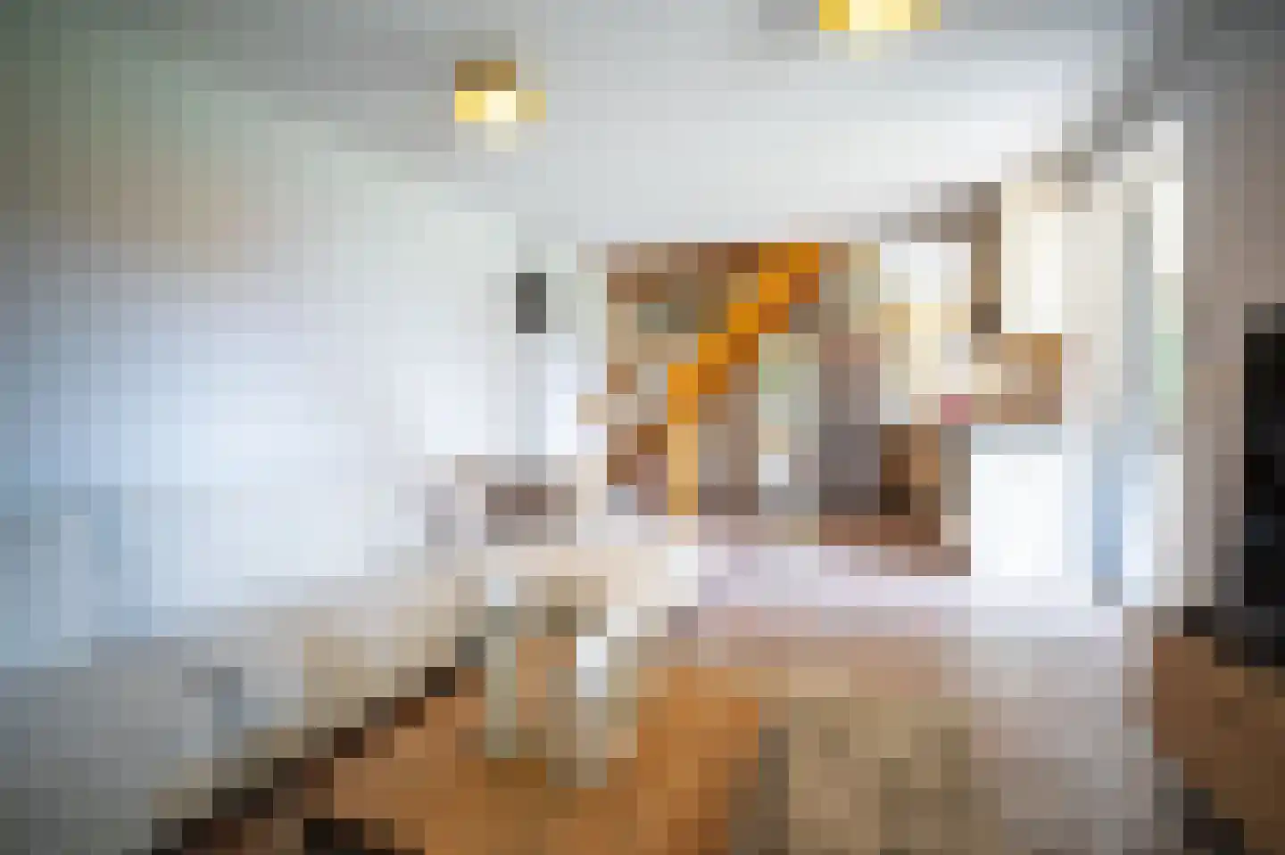 Heilige Huisjes 15 Zevenaar thumbnail 62