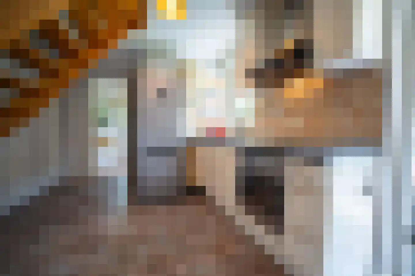 Heilige Huisjes 15 Zevenaar thumbnail 63