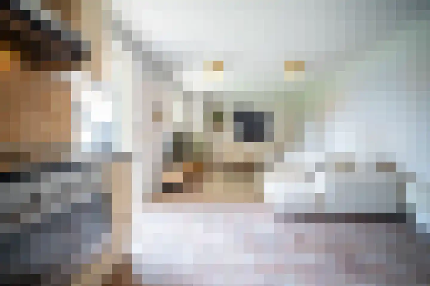 Heilige Huisjes 15 Zevenaar thumbnail 64