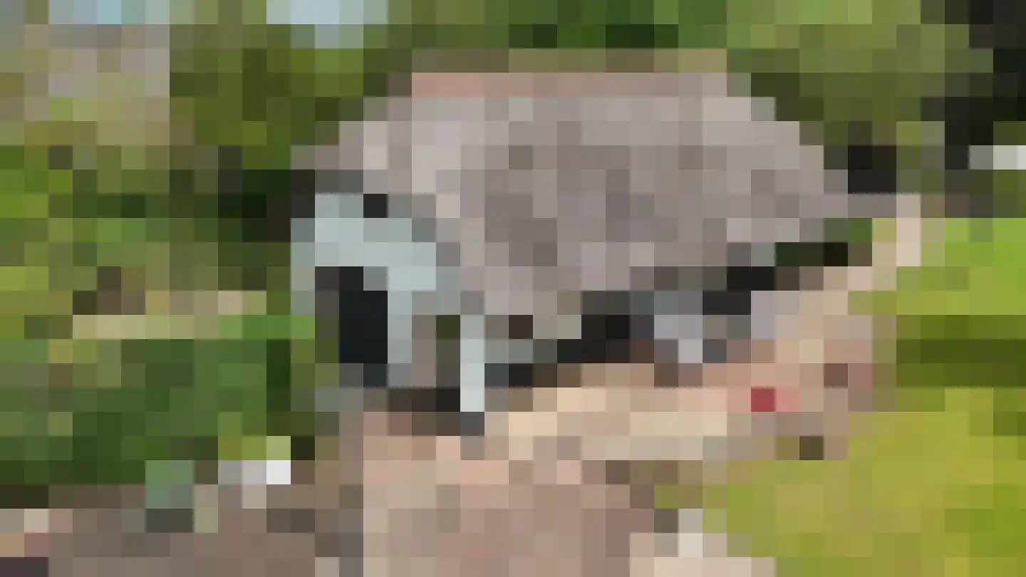 Heilige Huisjes 15 Zevenaar thumbnail 7