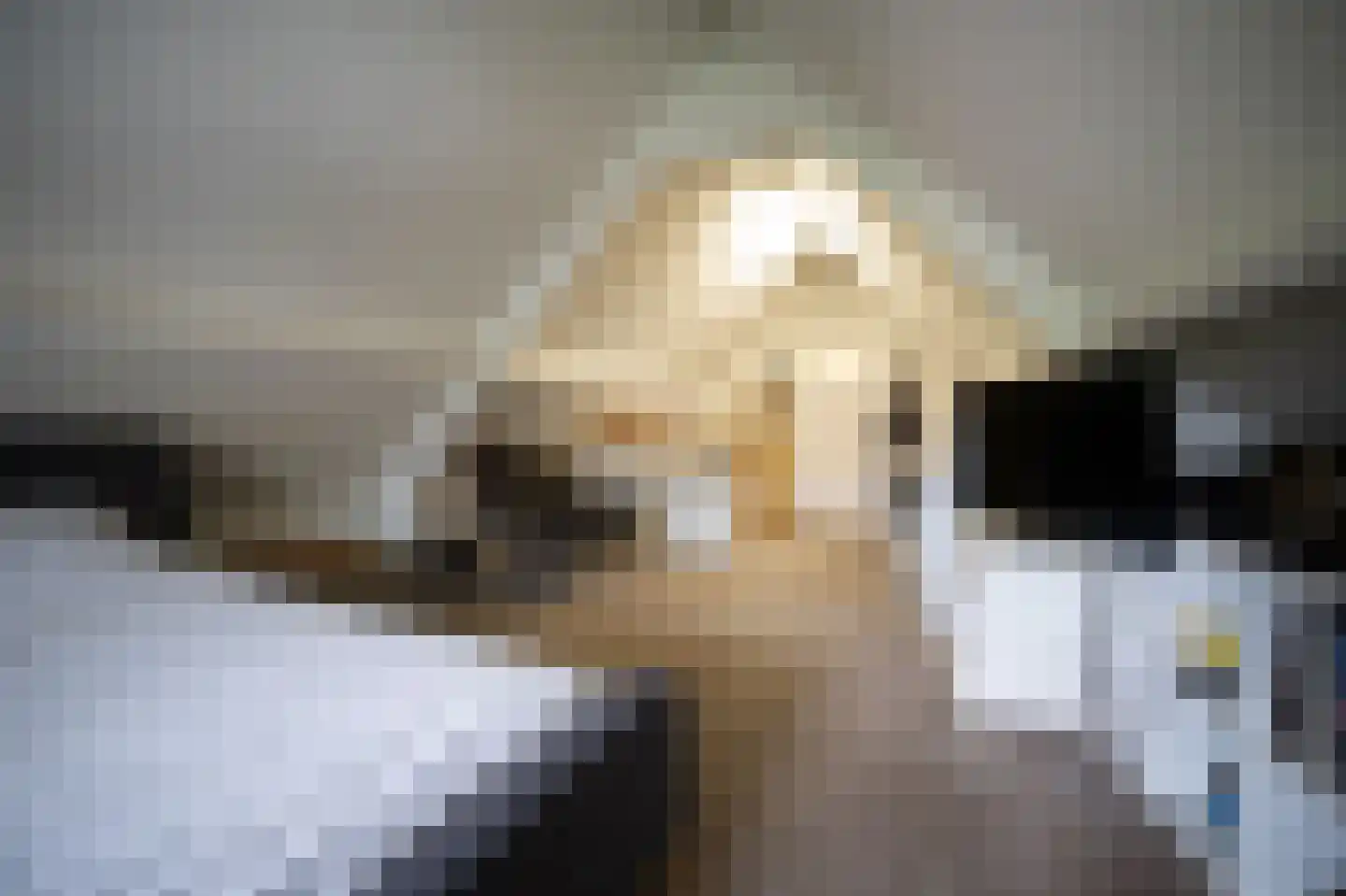 Heilige Huisjes 15 Zevenaar thumbnail 72