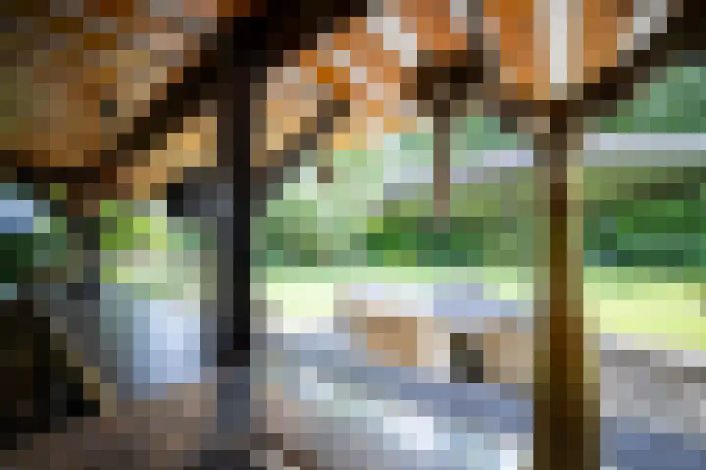 Heilige Huisjes 15 Zevenaar thumbnail 78