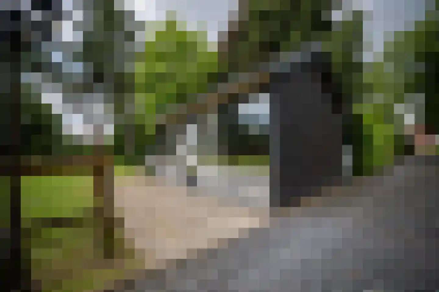 Heilige Huisjes 15 Zevenaar thumbnail 81