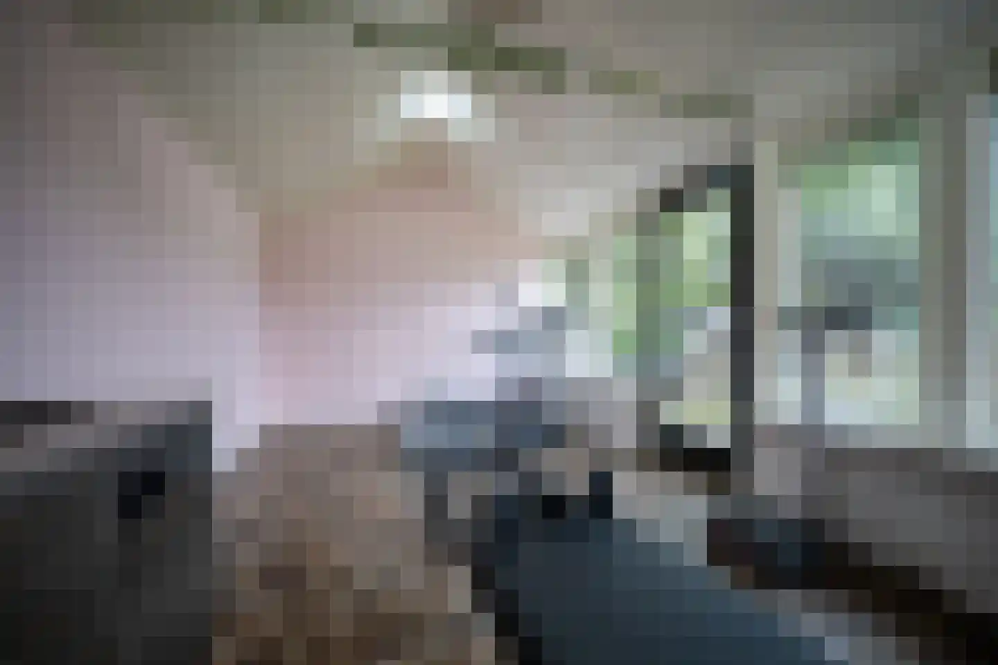 Heilige Huisjes 15 Zevenaar thumbnail 85
