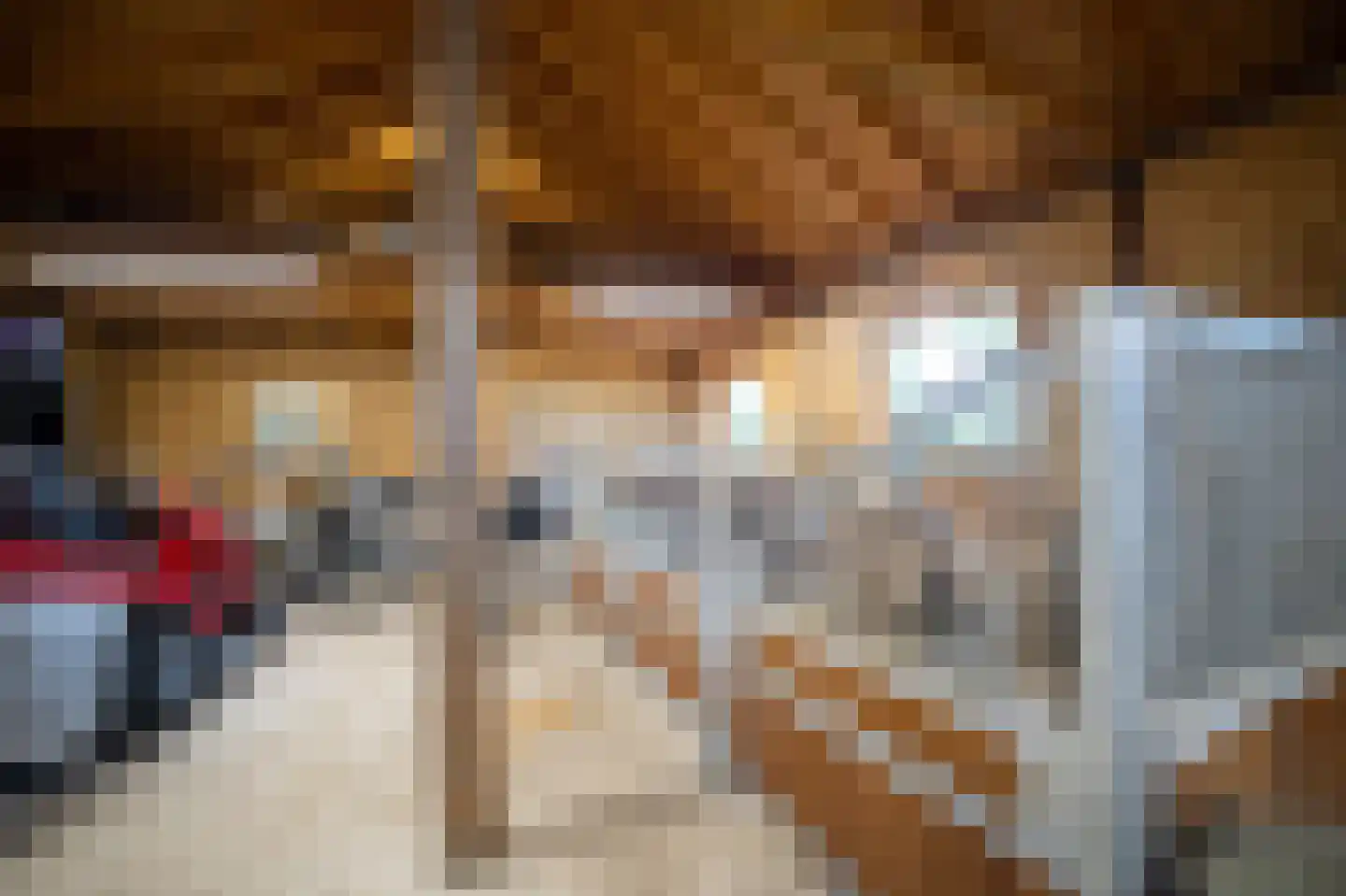 Heilige Huisjes 15 Zevenaar thumbnail 89