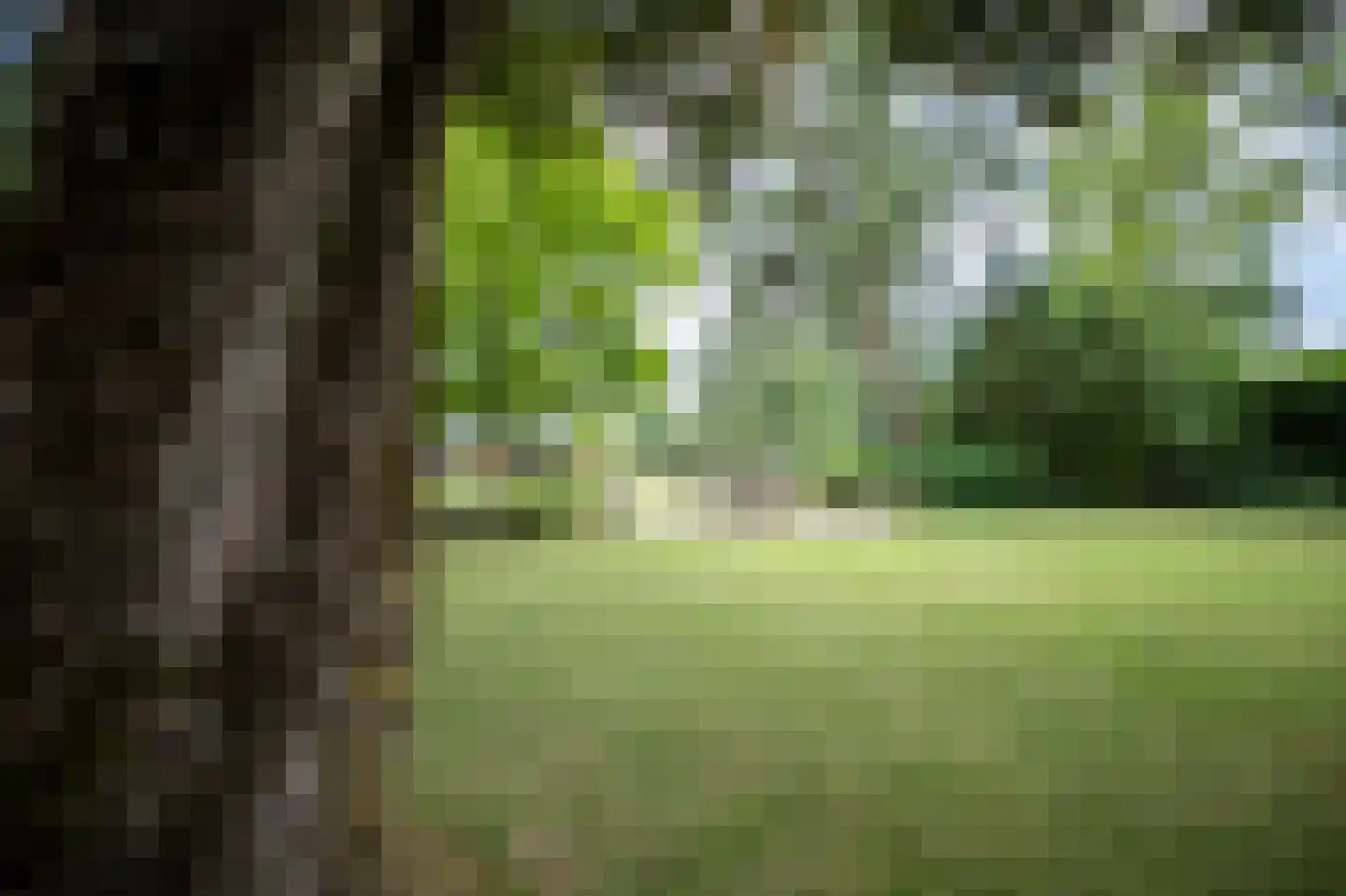 Heilige Huisjes 15 Zevenaar thumbnail 94