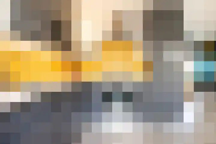 Heilige Stoel 3843 Wijchen thumbnail 11