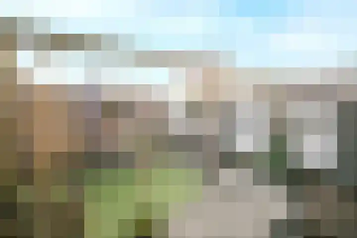 Heilige Stoel 3843 Wijchen thumbnail 14