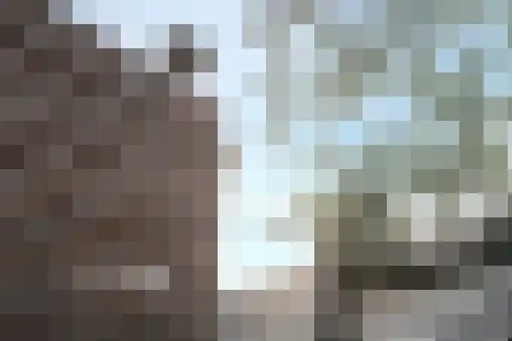 Heilige Stoel 3843 Wijchen thumbnail 15