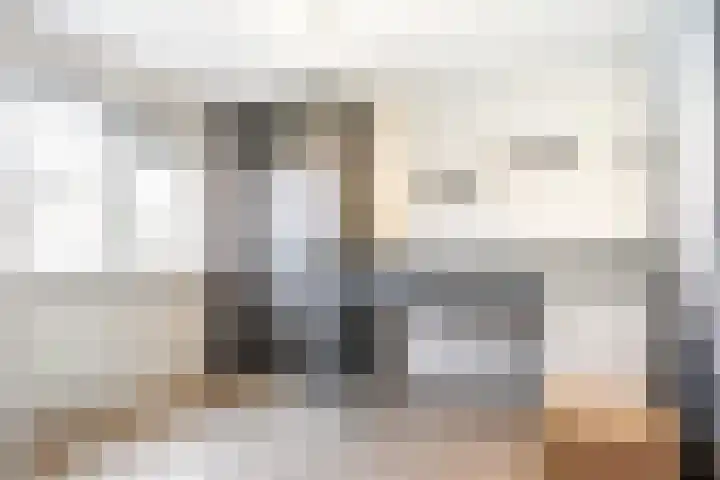 Heilige Stoel 3843 Wijchen thumbnail 19