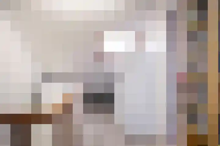 Heilige Stoel 3843 Wijchen thumbnail 25