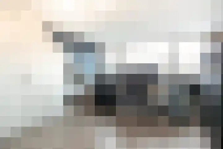 Heilige Stoel 3843 Wijchen thumbnail 26