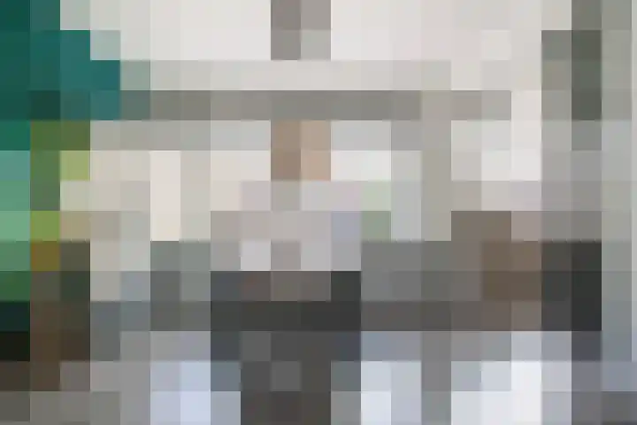 Heilige Stoel 3843 Wijchen thumbnail 6