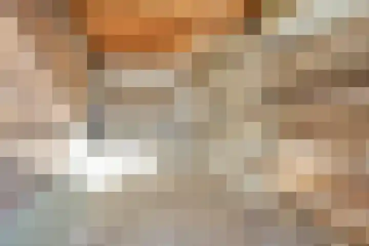 Heilige Stoel 3924 Wijchen thumbnail 23
