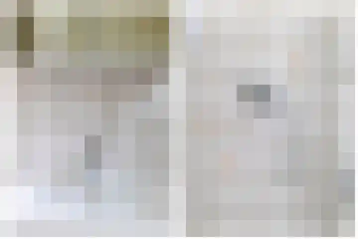 Heilige Stoel 4206 Wijchen thumbnail 11