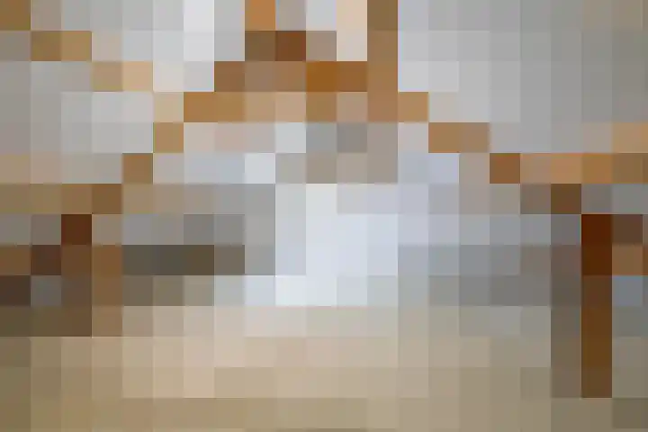 Heilige Stoel 4206 Wijchen thumbnail 13