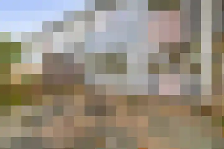 Heilige Stoel 4206 Wijchen thumbnail 15