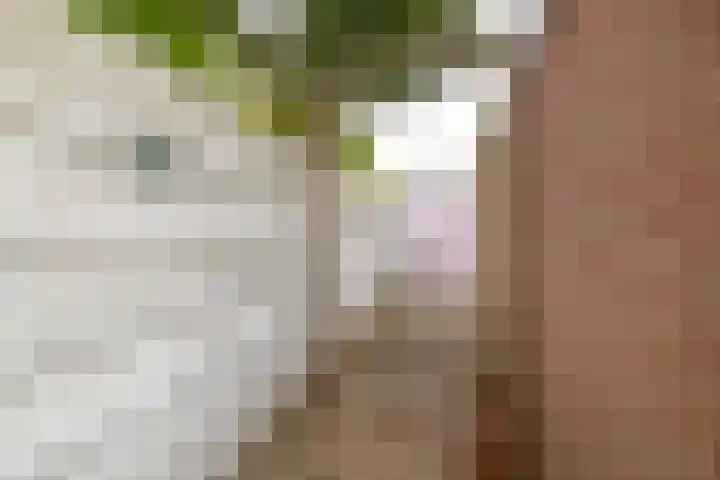 Heilige Stoel 4206 Wijchen thumbnail 16