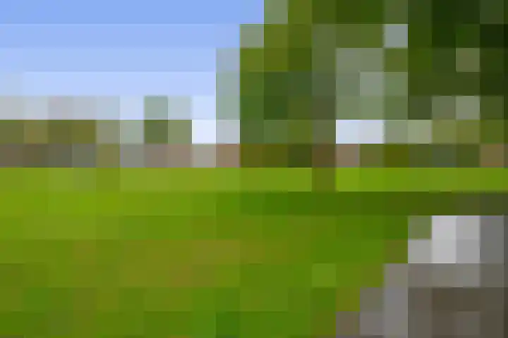Heilige Stoel 4206 Wijchen thumbnail 18